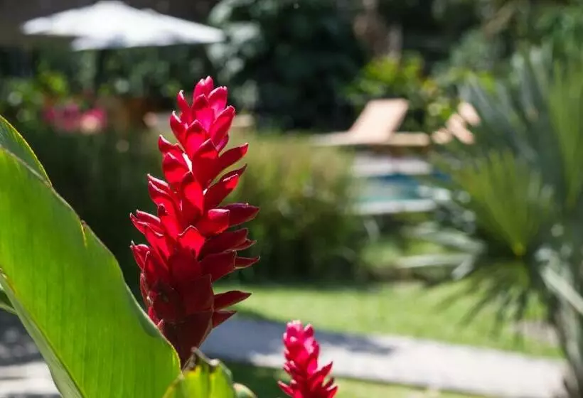 Guácima Escondida Hotel Boutique