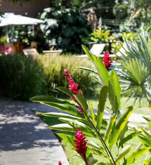 Guácima Escondida Hotel Boutique