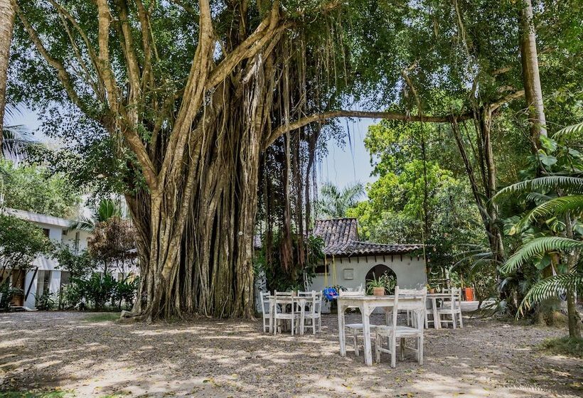 هتل Restaurante Selva Negra