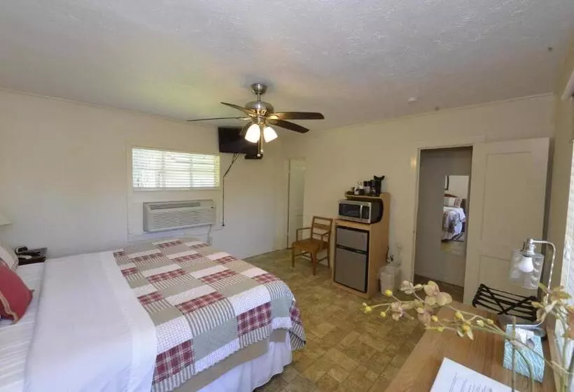 Motelli Shiner Country Inn