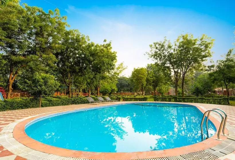 Narmada Hills Resort