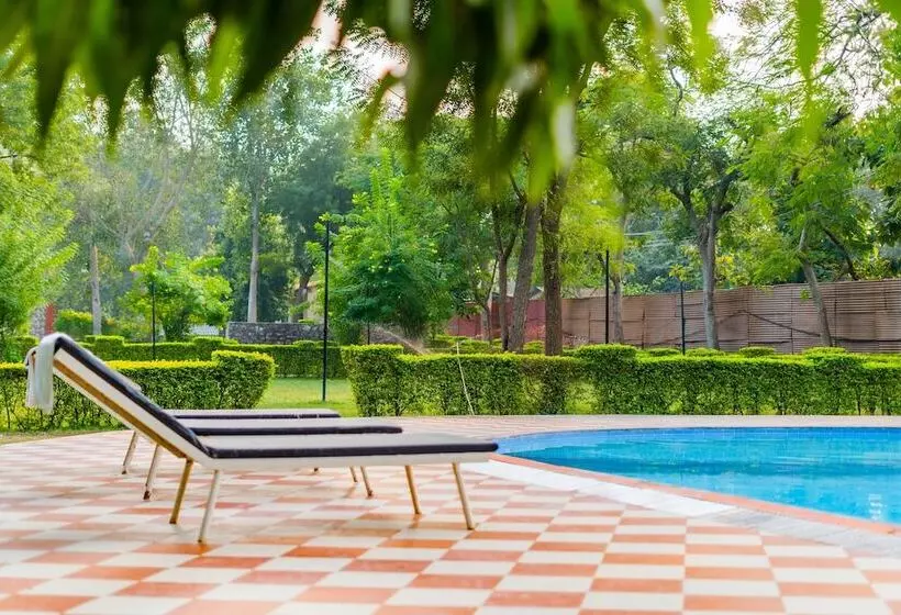 Narmada Hills Resort