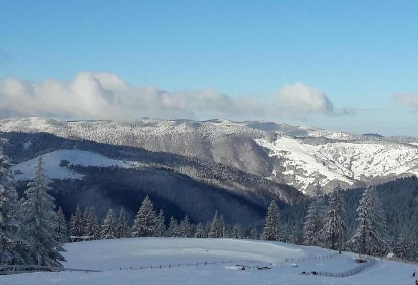 بنسيون Casa De Vacanta Two Brothers Concept