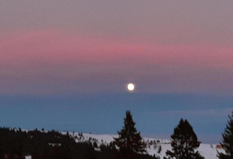 بنسيون Casa De Vacanta Two Brothers Concept