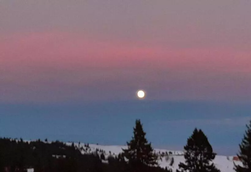 ペンション Casa De Vacanta Two Brothers Concept