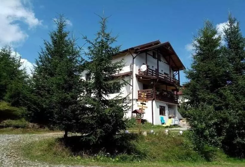 ペンション Casa De Vacanta Two Brothers Concept