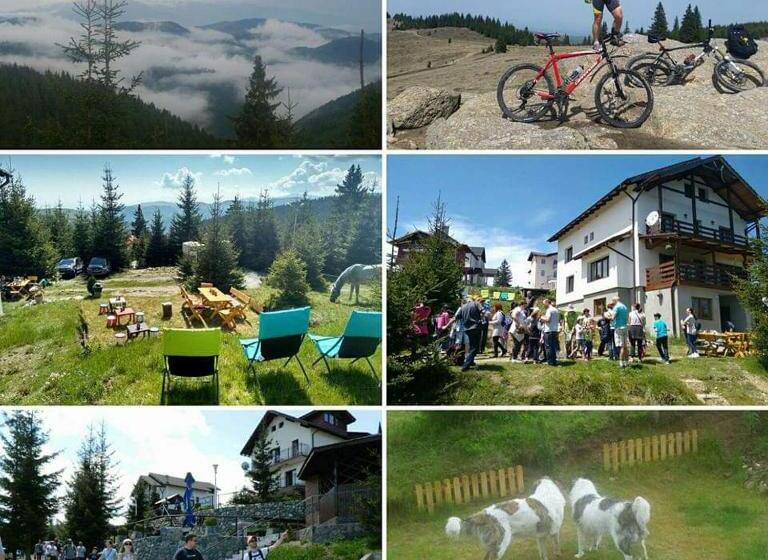 بنسيون Casa De Vacanta Two Brothers Concept