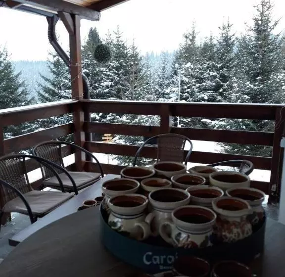 ペンション Casa De Vacanta Two Brothers Concept