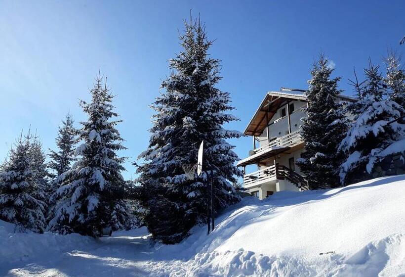 بنسيون Casa De Vacanta Two Brothers Concept