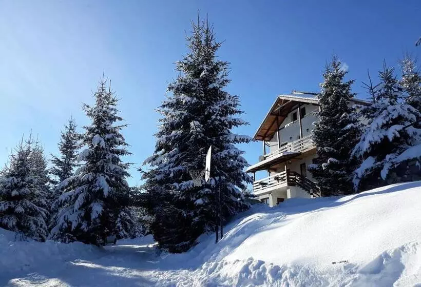 ペンション Casa De Vacanta Two Brothers Concept