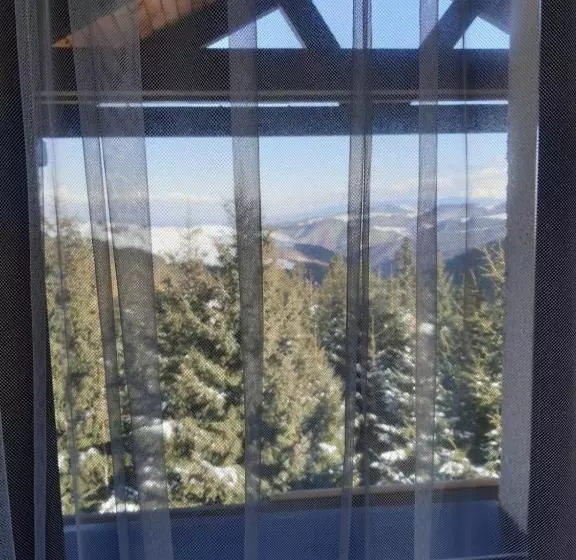 ペンション Casa De Vacanta Two Brothers Concept