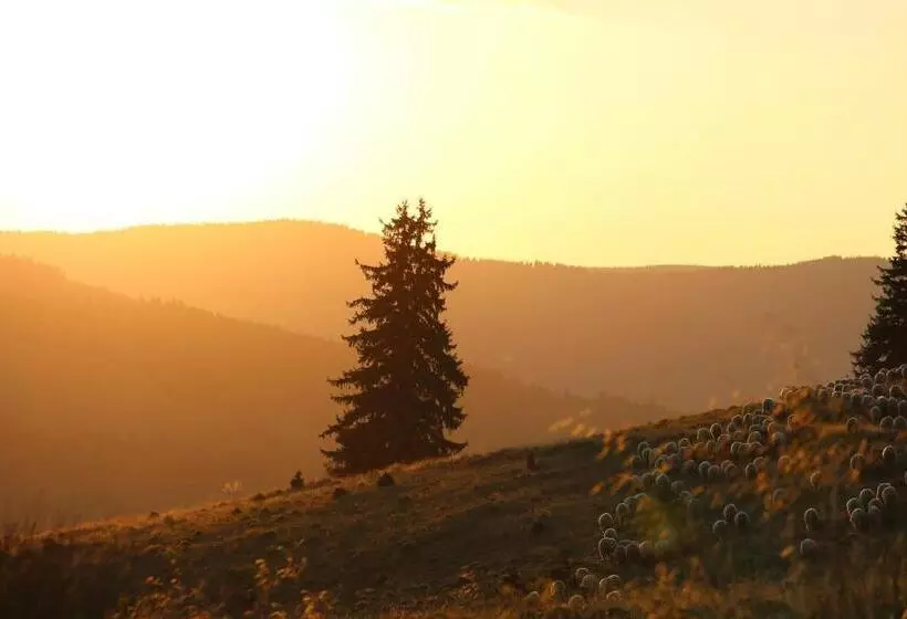 ペンション Casa De Vacanta Two Brothers Concept