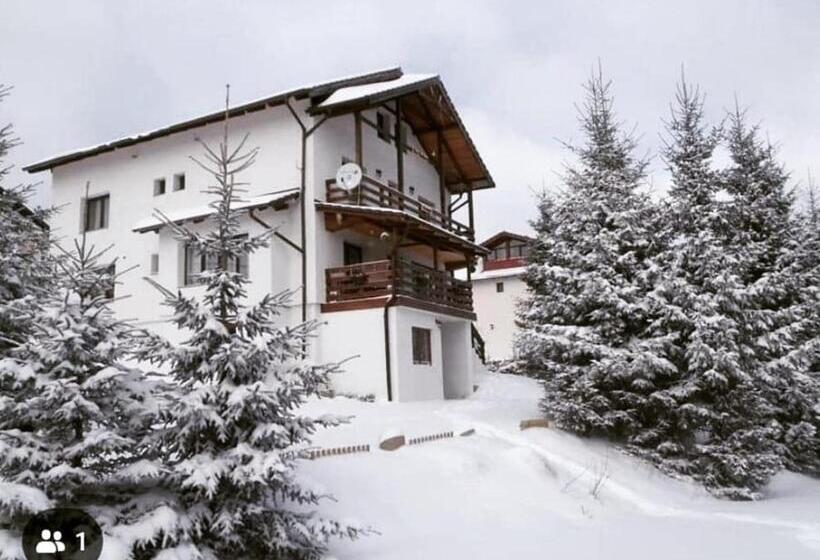 بنسيون Casa De Vacanta Two Brothers Concept