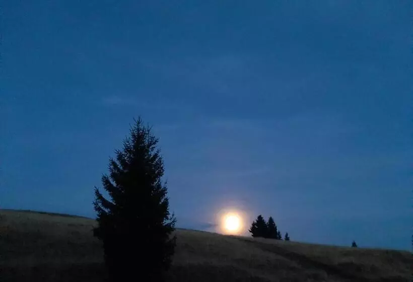 ペンション Casa De Vacanta Two Brothers Concept