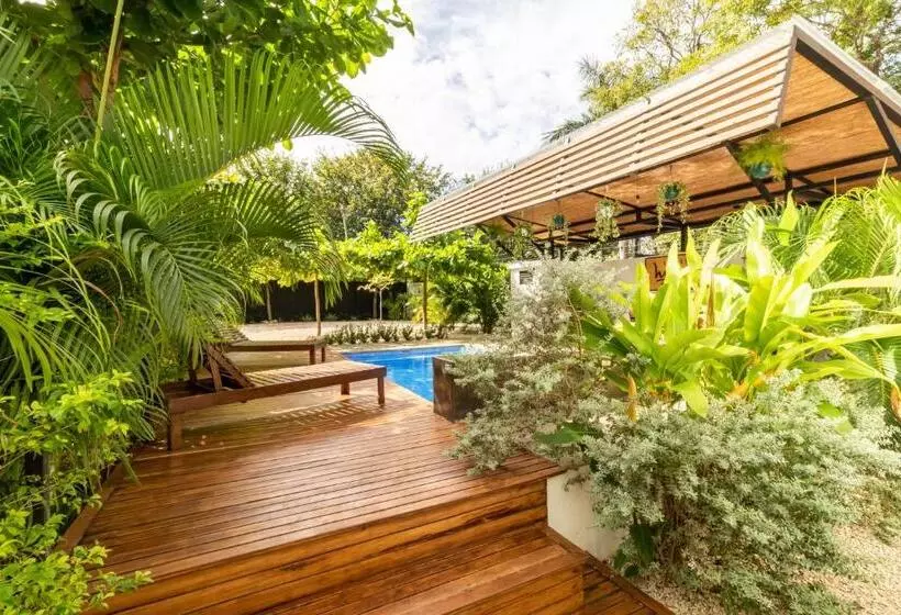 Majatalo Little Hawaii Avellanas