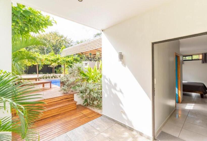 بنسيون Little Hawaii Avellanas