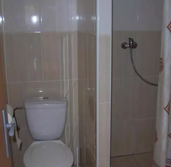 ペンション Penzion Zlatá Rybka