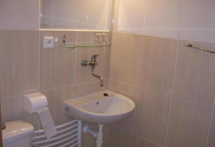 Pensjonat Penzion Zlatá Rybka