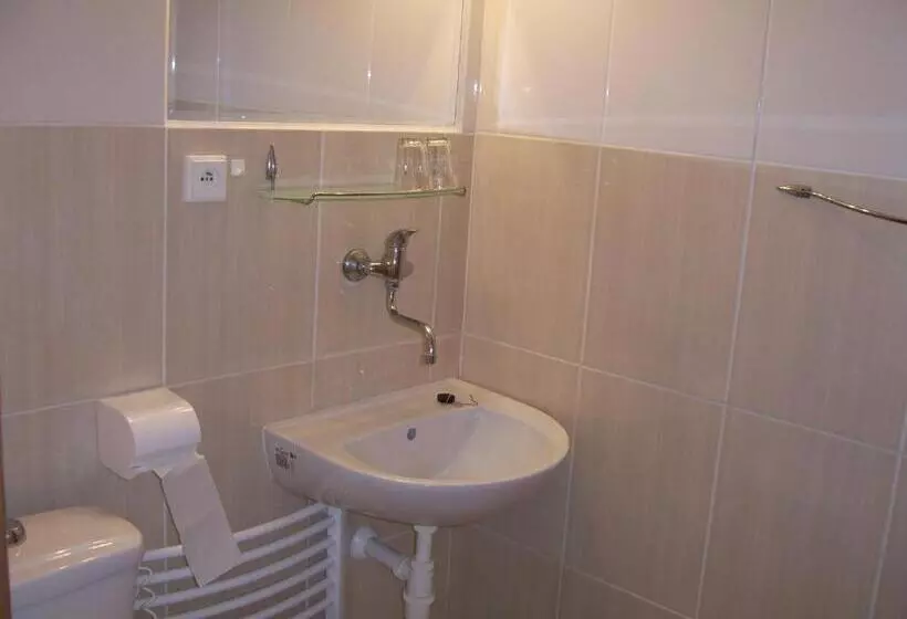 ペンション Penzion Zlatá Rybka