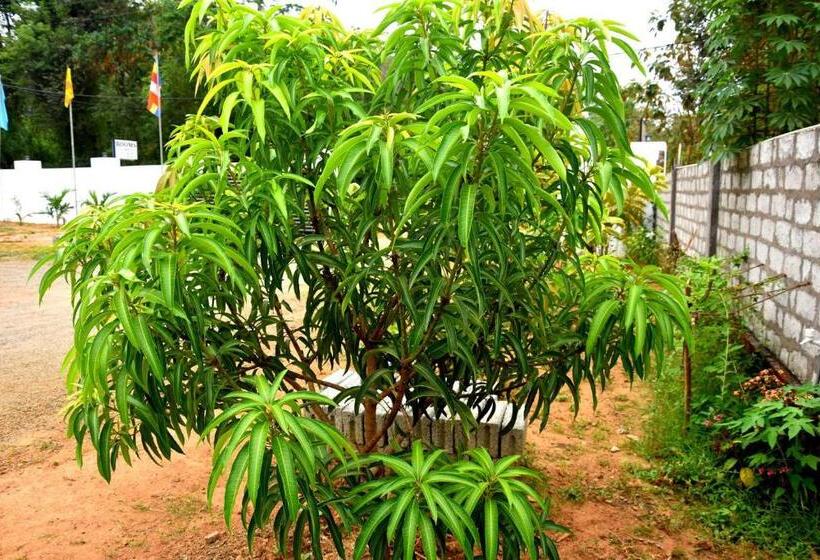 Pensiune Wingate Hotel Wilgamuwa