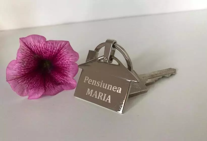 Pensiunea Maria