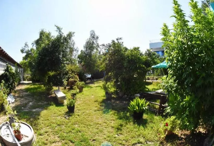 Governors Beach Panayiotis