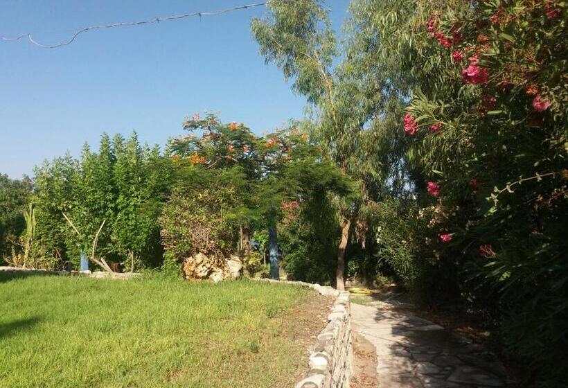 Governors Beach Panayiotis