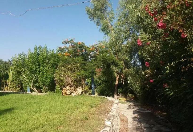Governors Beach Panayiotis