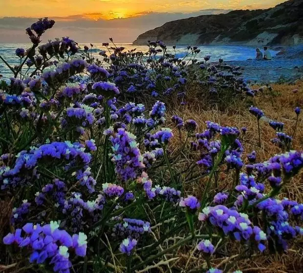 Governors Beach Panayiotis