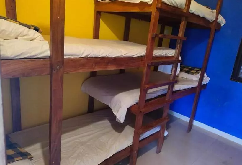 Hotelli Bigfoot Stay   Forganic Farm & Agro Tourism