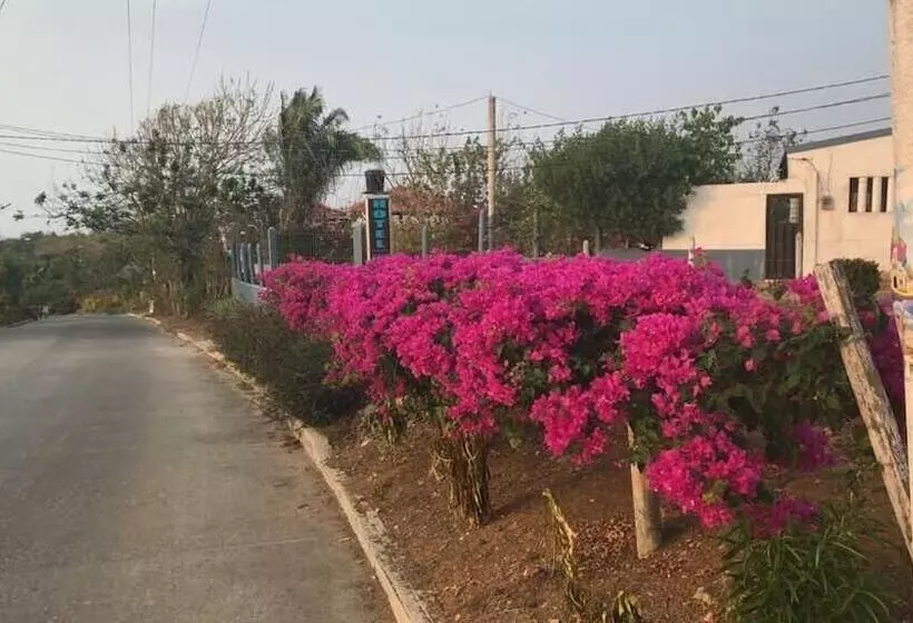 ホテル Brisas Del Mar San Antero