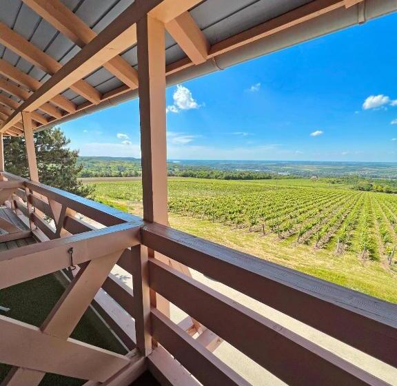 בית מלון כפרי Hilltop Borbirtok & étterem