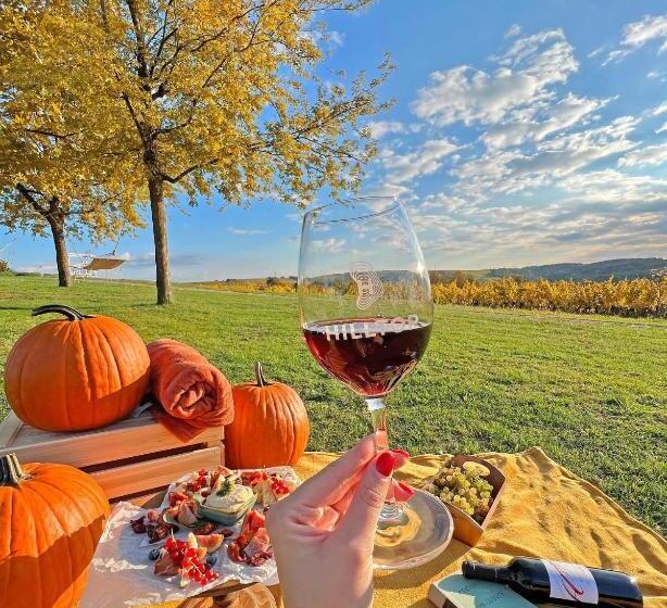 בית מלון כפרי Hilltop Borbirtok & étterem