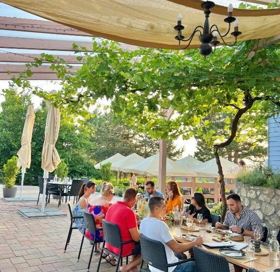 בית מלון כפרי Hilltop Borbirtok & étterem