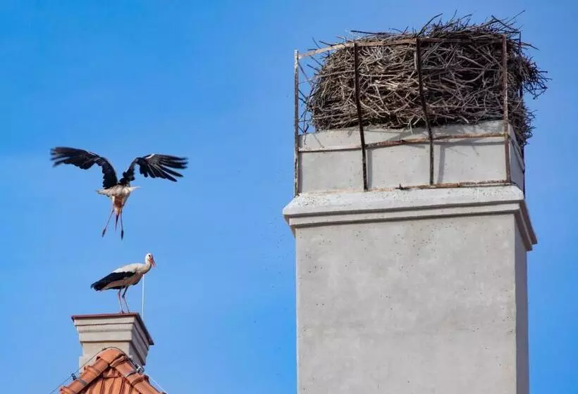 Hotelli Residence Safari Resort   Bison Lodge