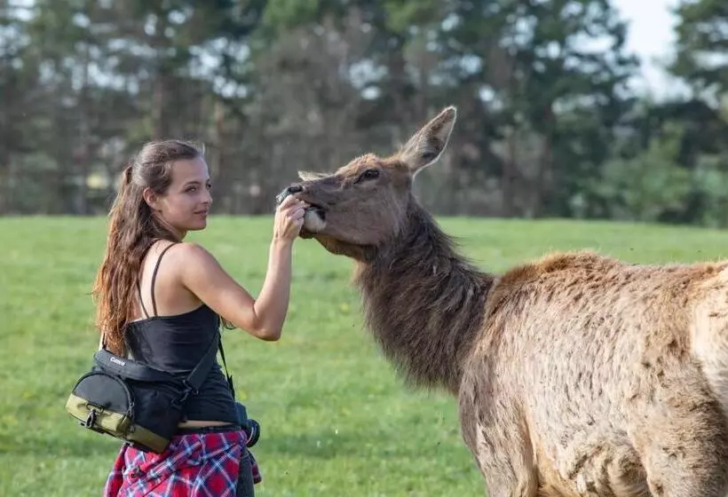 Hotelli Residence Safari Resort   Bison Lodge