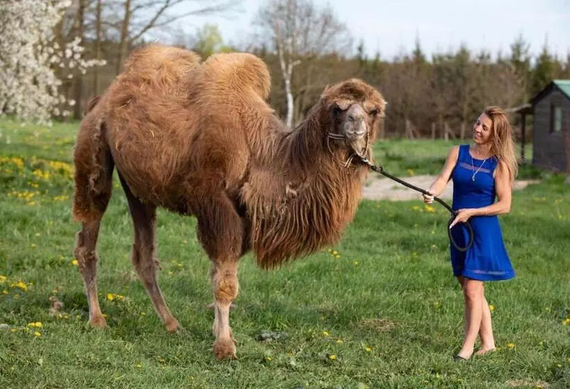 Hotelli Residence Safari Resort   Bison Lodge