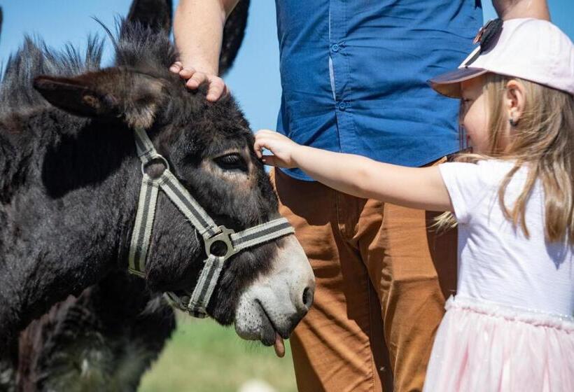 فندق Residence Safari Resort Bison Lodge