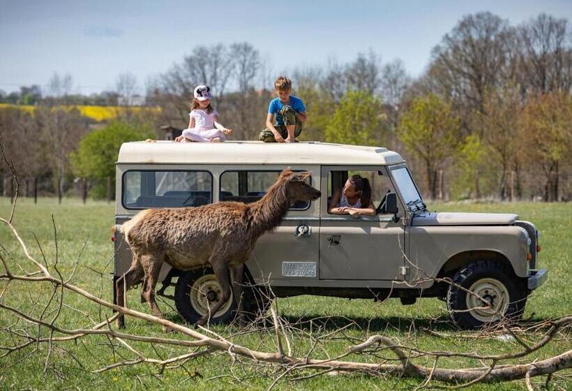 فندق Residence Safari Resort Bison Lodge