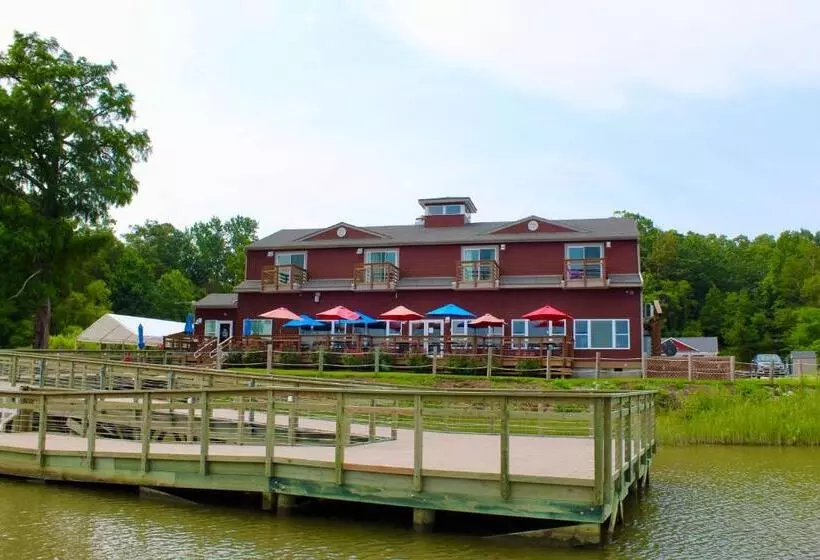 Hotelli Surry Seafood Company