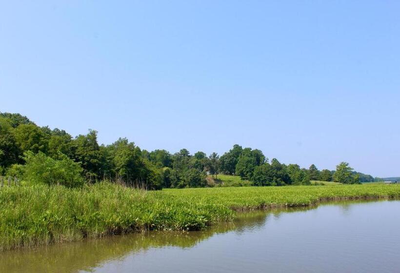 酒店 Surry Seafood Company