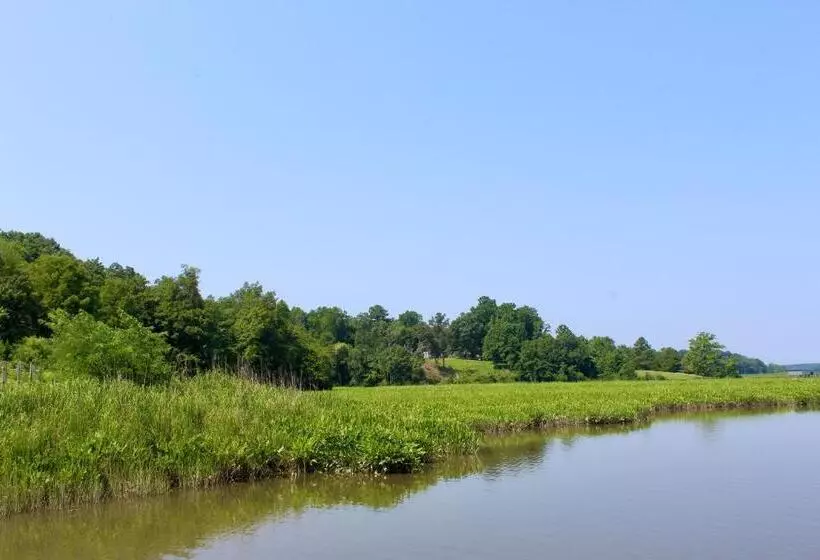 Hotelli Surry Seafood Company