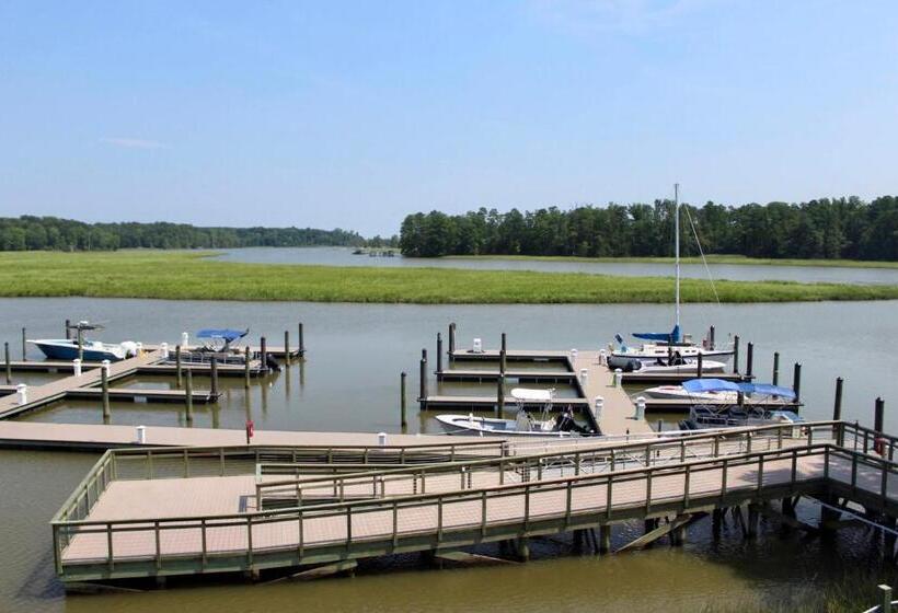 酒店 Surry Seafood Company