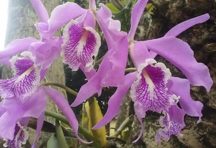 Hotelli Residencial Valle Sagrado Vilcabamba