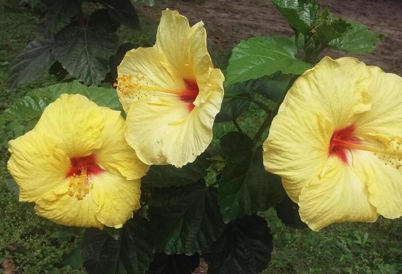 Отель Residencial Valle Sagrado Vilcabamba