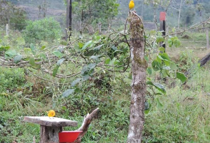 ペンション Hostal De La Montaña Ecoturismo