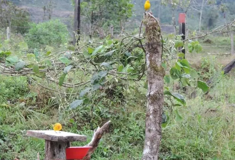 ペンション Hostal De La Montaña Ecoturismo