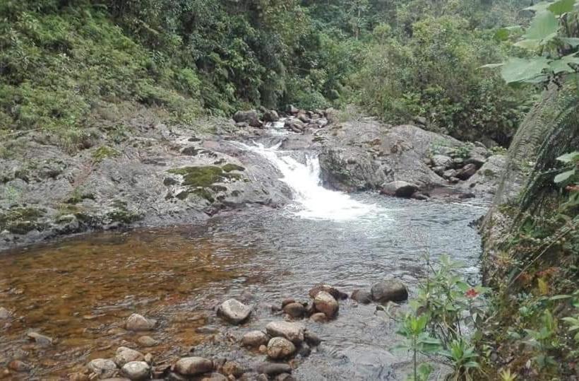 ペンション Hostal De La Montaña Ecoturismo