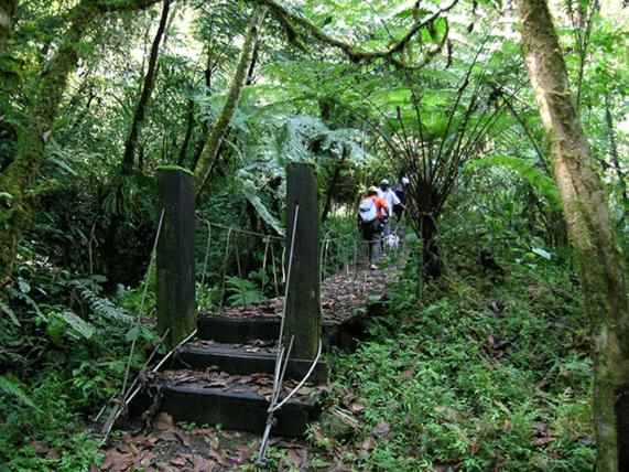 ペンション Hostal De La Montaña Ecoturismo