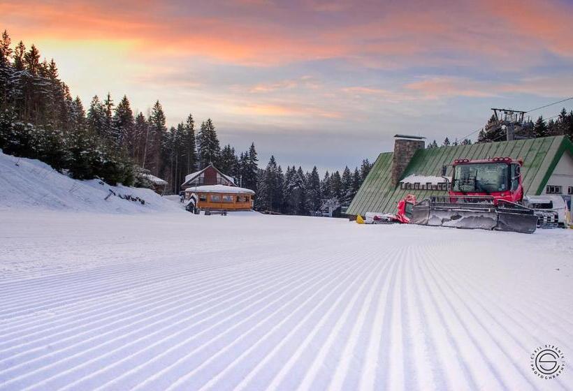 פנסיון Penzion Pašta